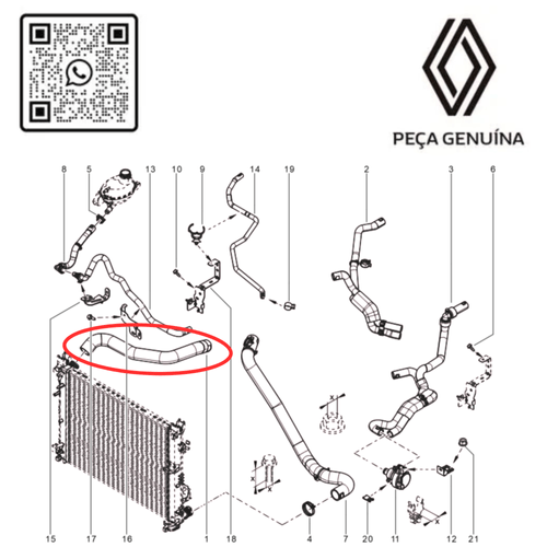 RN 501505 MANGUEIRA SUPERIOR DO RADIADOR KANGOO II 1.6 16V H4M 215015059R -6-